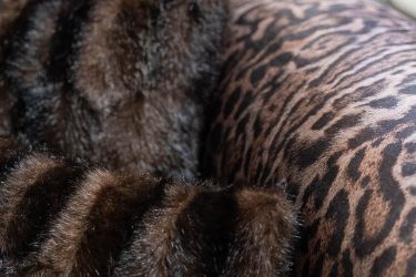 leopar-oturma-odasi11